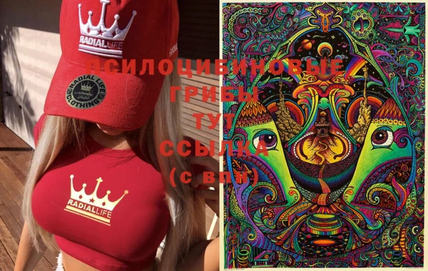 прущие грибы Алзамай