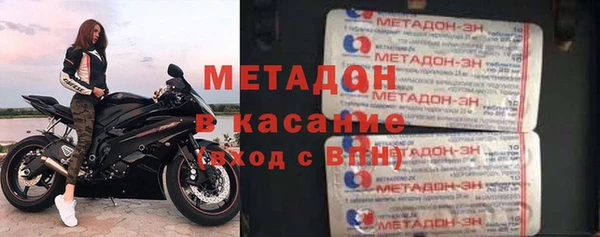 прущие грибы Алзамай